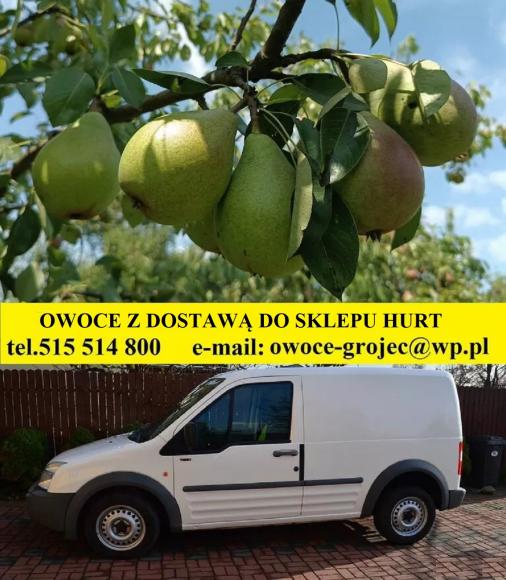 owoce z dostaw� do sklep�w Warszawa i okolice